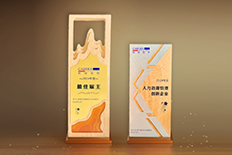 美狮贵宾ms092021官网国际一举斩获“2024年度中国区最佳雇主”等多项大奖
